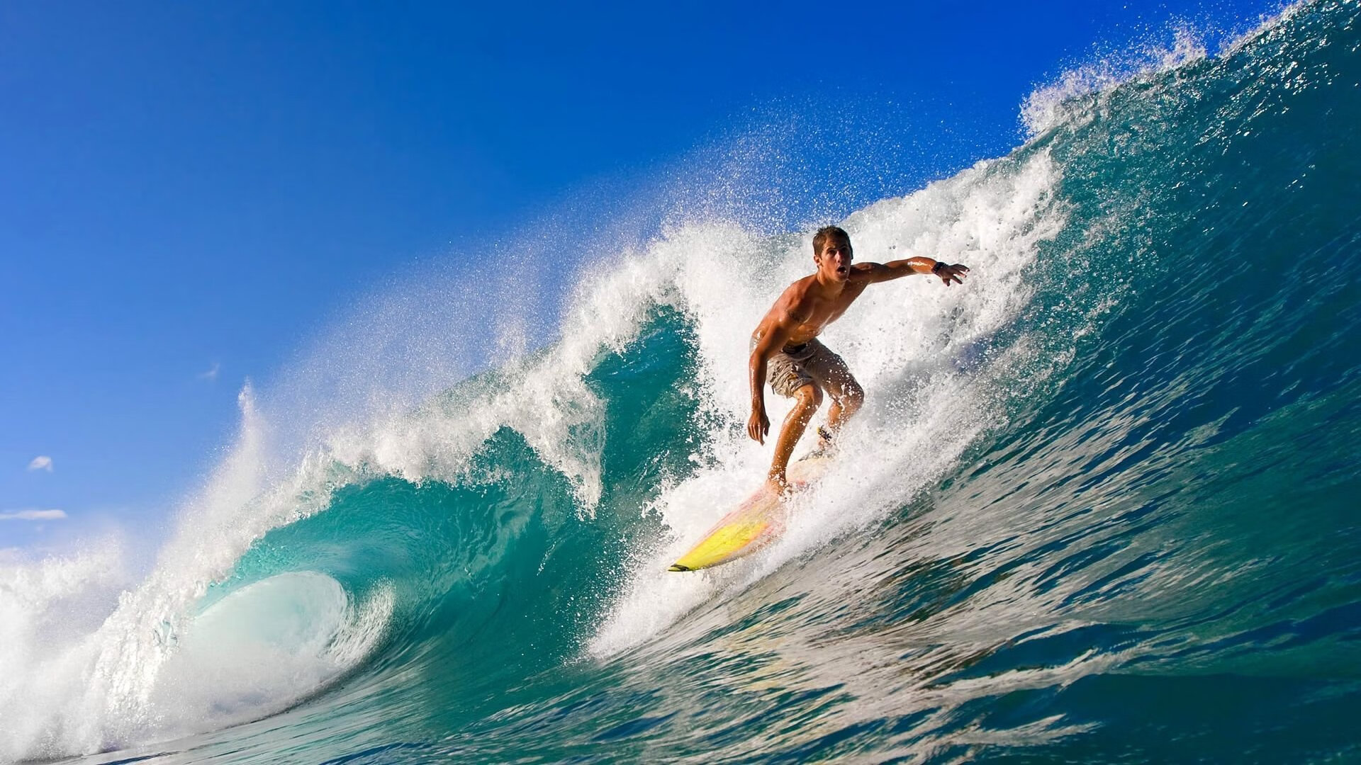 东决关键战焦点战，公牛全面压制开拓者，王朝序章在防守中奏响